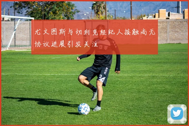 尤文图斯与切利克经纪人接触尚无协议进展引发关注
