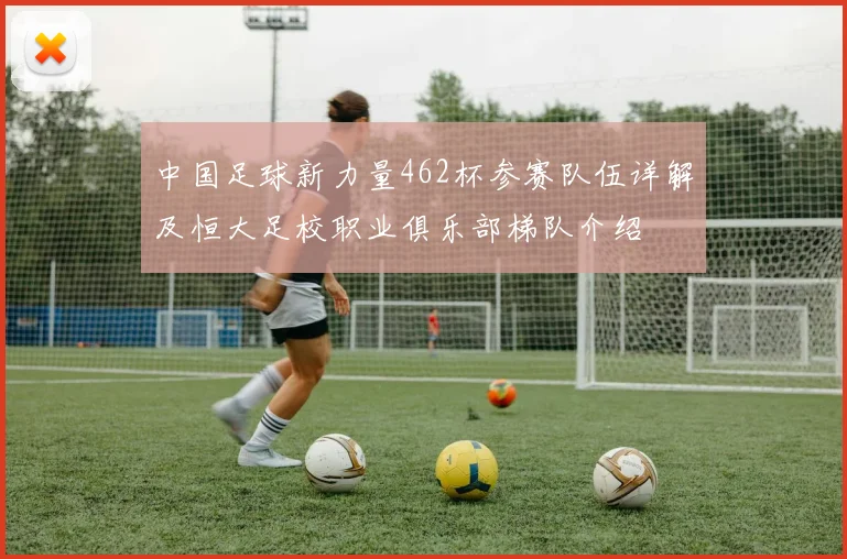中国足球新力量462杯参赛队伍详解及恒大足校职业俱乐部梯队介绍